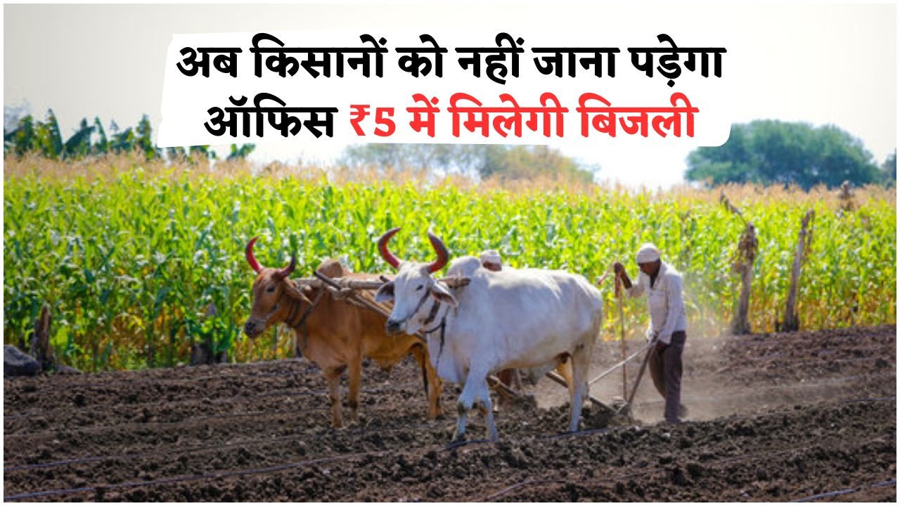 सरकार ने शुरू की नई योजना: अब किसानों को घर बैठे ₹5 में मिलेगा बिजली कनेक्शन, आवेदन की पूरी जानकारी यहां पढ़ें